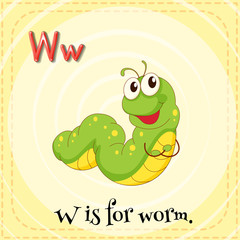 Letter W