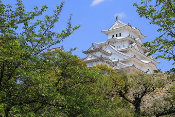 Fototapeta premium Himeji Castle in Japan