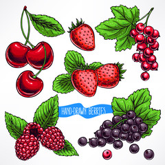 set with ripe berries