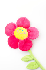 flower with smile face