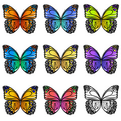 Fototapeta na wymiar Set of colorful butterflies
