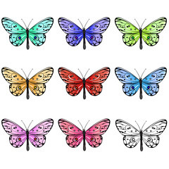 Set of colorful  butterflies