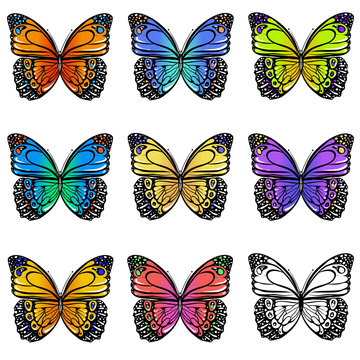 Set of colorful  butterflies