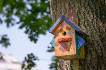 Obraz na płótnie Canvas Bird Shelter in the Wood