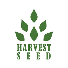 Harvest Seed logo icon vector