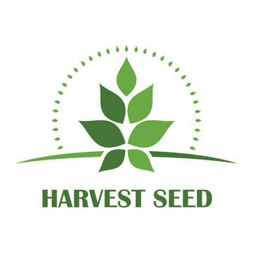 Harvest Seed logo icon vector