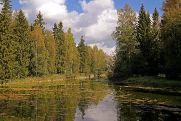 forest Lake