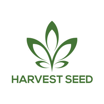Harvest Seed logo icon vector