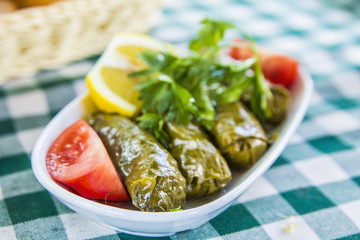Fresh dolma with meat and vegetables on a checkered tablecloth 
