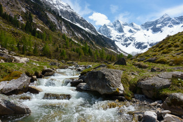 Plakat Gebirgsbach vom Gletscher in einem Hochtal der tiroler Alpen