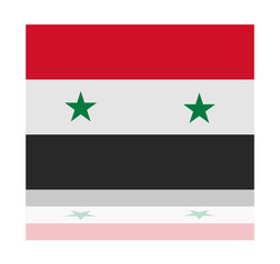 reflection flag syria