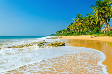 Amazing exotic sandy beach andhigh palm trees  - obrazy, fototapety, plakaty