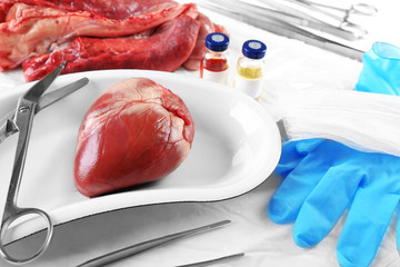 Heart organ in medical metal tray with tools on table close up