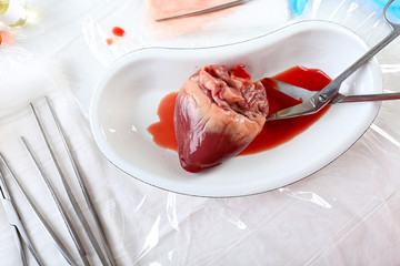 Heart organ in medical metal tray with tools on table close up