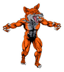 Mean fox sports mascot
