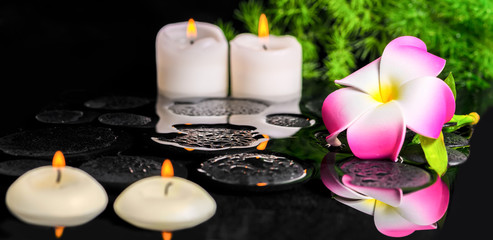 beautiful spa background of plumeria flower, green branch Aspara