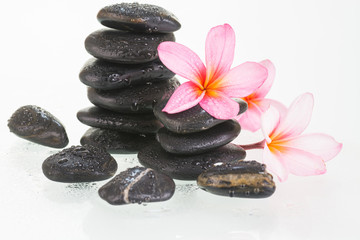 Fototapeta na wymiar Plumeria flowers and black stones close up