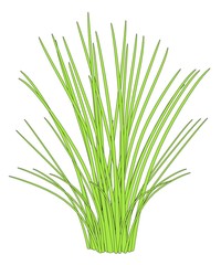 cartoon image of aquatic plant