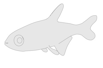 2d cartoon image of paracheirodon innesi