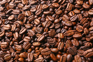 Closeup of coffee beans