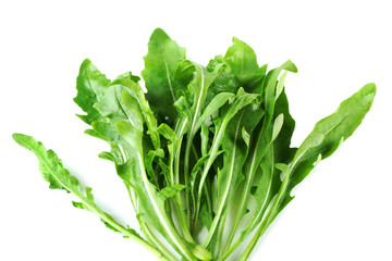 Green arugula leaves close up