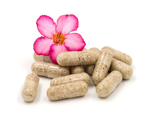 Herb capsules isolated on white background (Medical)