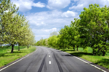 Asphalt road through the green field in spring day © Africa Studio