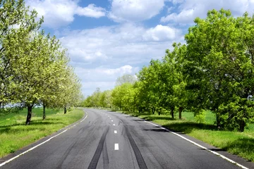 Zelfklevend Fotobehang Asphalt road through the green field in spring day © Africa Studio