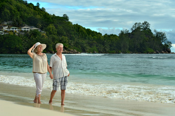 Fototapeta na wymiar elderly couple walking along the seashore