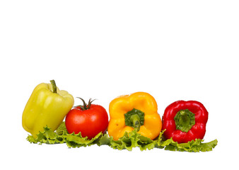 vegetables isolated