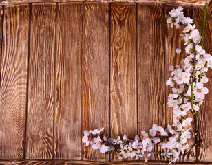 Spring blossom on wood background