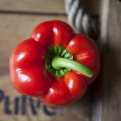 poivron rouge 