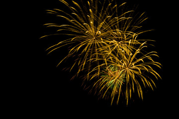 Colorful fireworks on the black sky background