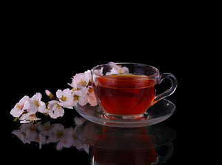 cup of tea and cherry branch