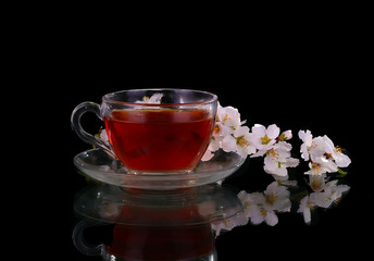 cup of tea and cherry branch