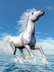 Obraz na płótnie Canvas White horse freedom - 3D render