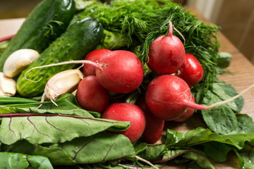 Fresh spring organic vegetables