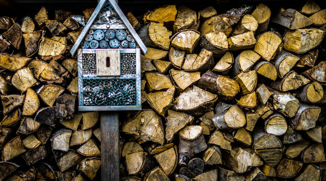 eine Insektenwand in einem Vorgarten