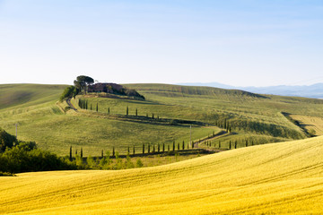 Fields in Tuscany, Italy