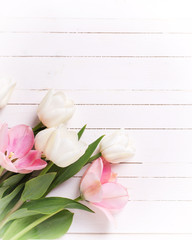 Fototapeta na wymiar Background with fresh pink and white tulip flowers