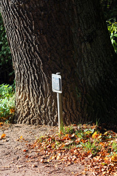 Image of a sign and a tree trunk