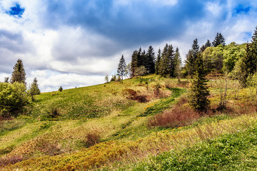 Feldberg Mountain in Spring