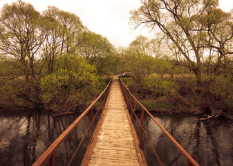 Fototapeta premium footbridge over the black river