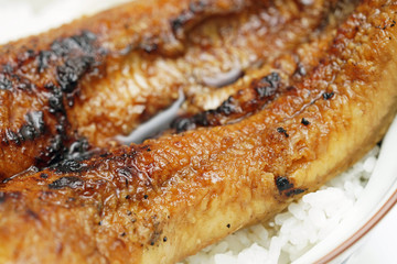 うな丼