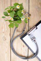 Fresh herb, medical clipboard and stethoscope on wooden table. Alternative medicine concept. Top view.