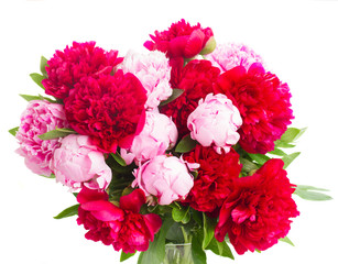 pink and red  peonies