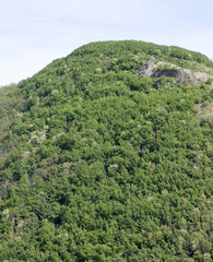 Obraz premium green mountain