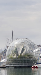 Obraz premium genova