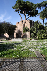 Fototapeta na wymiar Rome.Italy.Baths of Diocletian.Terme di Diocleziano.