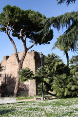 Fototapeta na wymiar Rome.Italy.Terme di Diocleziano.Baths of Diocletian.